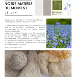 Poszewka na poduszkę 50 x 70 cm 100% len  seledynowa