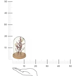 Suszone kwiaty pod kloszem Gypsy