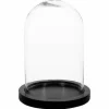 Szklany klosz 26cm z czarną drewnianą podstawką