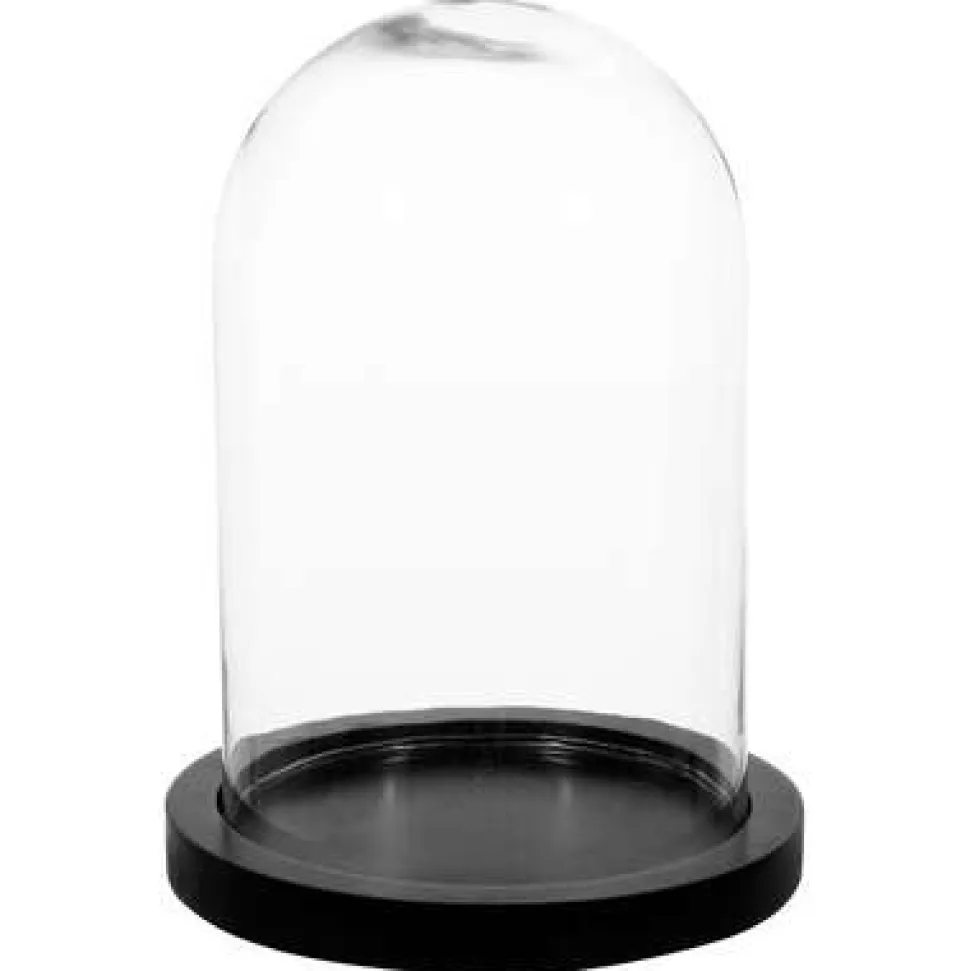 Szklany klosz 29,5cm z czarną drewnianą podstawką