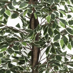 Sztuczna roślina Benjamin 170 cm