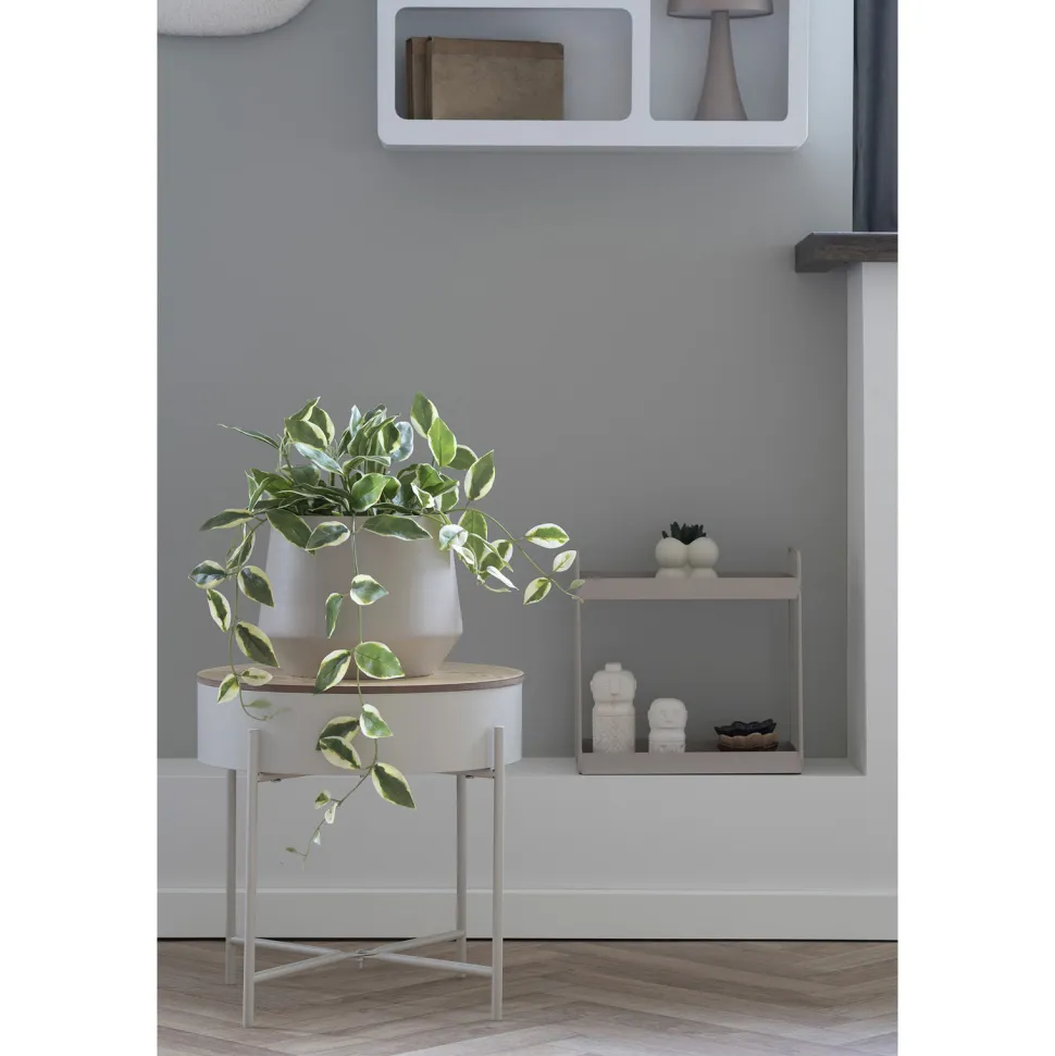 Sztuczna roślina Hoya 33 cm