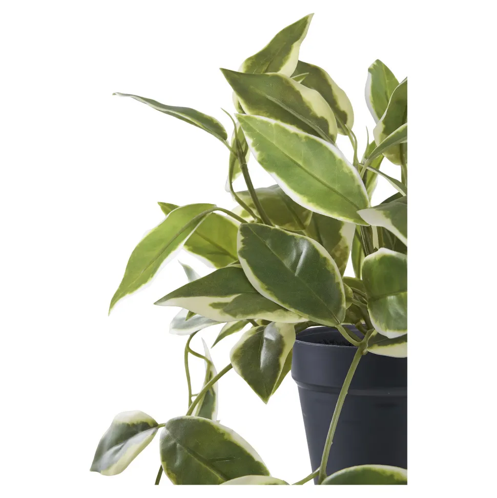 Sztuczna roślina Hoya 33 cm