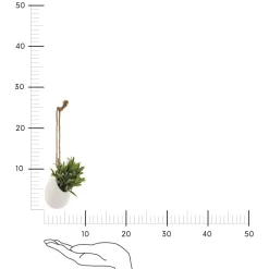 Sztuczna roślina wisząca długie liście    11 cm