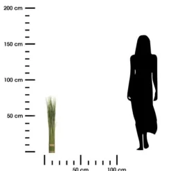 Sztuczna trawa wysoka 79cm