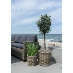 Sztuczne drzewko oliwne 150cm