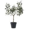 Sztuczne drzewko oliwne 61cm