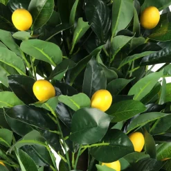 Sztuczne drzewo cytrynowe 120 cm