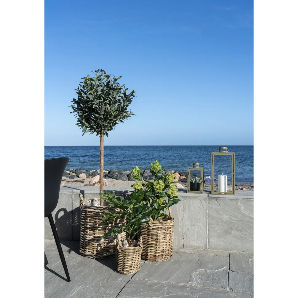 Sztuczne drzewo figowe 60cm