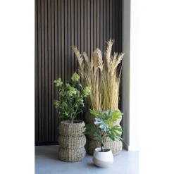 Sztuczne drzewo figowe 60cm