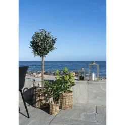 Sztuczne drzewo Skimmia 75cm