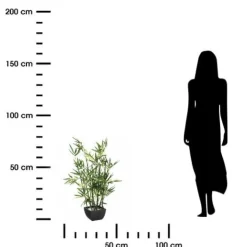 Sztuczny bambus w donicy 70cm