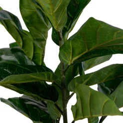 Sztuczny kwiat Fikus dębolistny 100cm