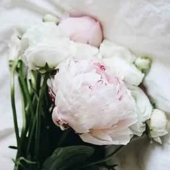 Świeca Premium 230gr. French Linen