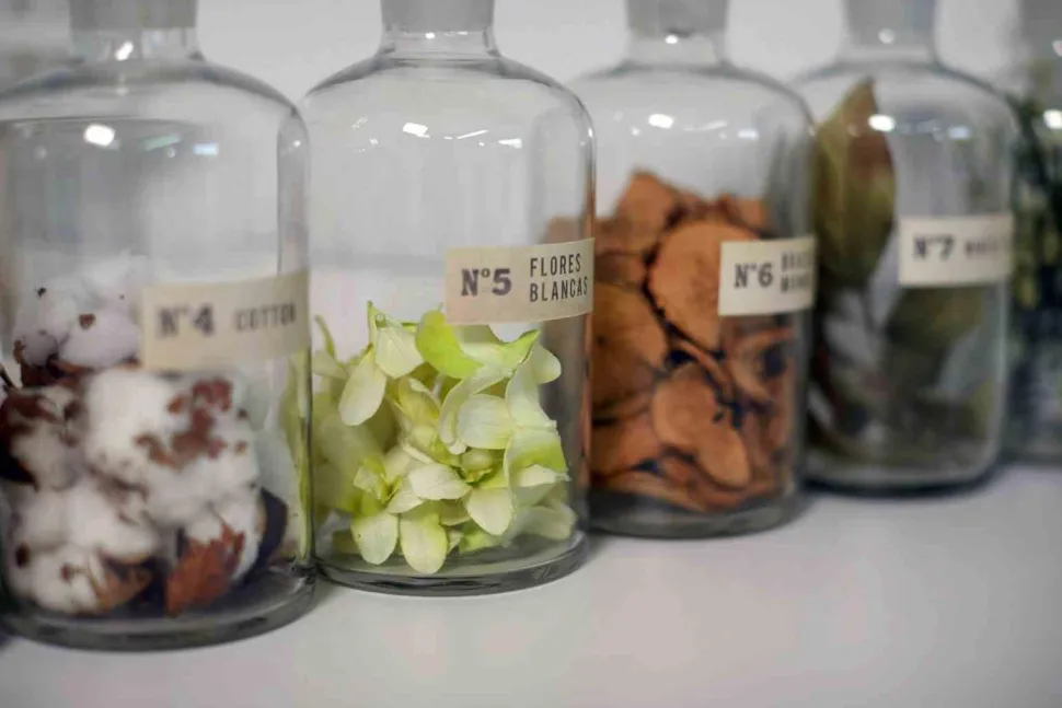 Świeca Santiago 230gr. Brazilian mango