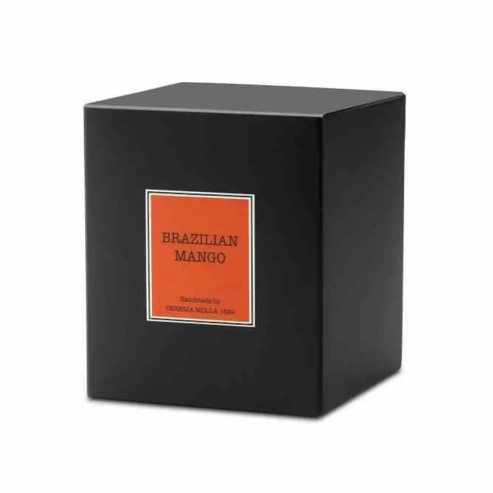 Świeca Santiago 230gr. Brazilian mango