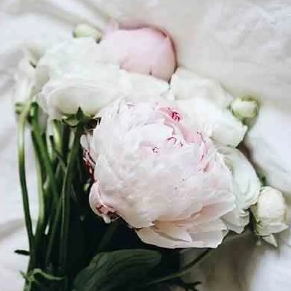 Świeca XL 600gr. French Linen