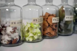 Świeca XL 600gr. Grapefruit and Bay