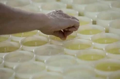 Świeca XL 600gr.  Verbena di Sicilia