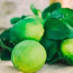 Świeca 3XL 7kg. Bergamotto di Calabria