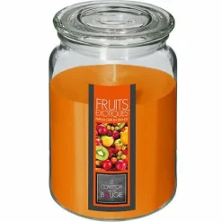 Świeca zapachowa Nina Owoce Tropikalne 510 g