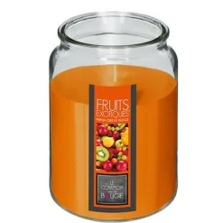 Świeca zapachowa Nina Owoce Tropikalne 510 g