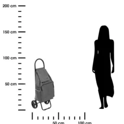 Wózek na zakupy Nomade szary