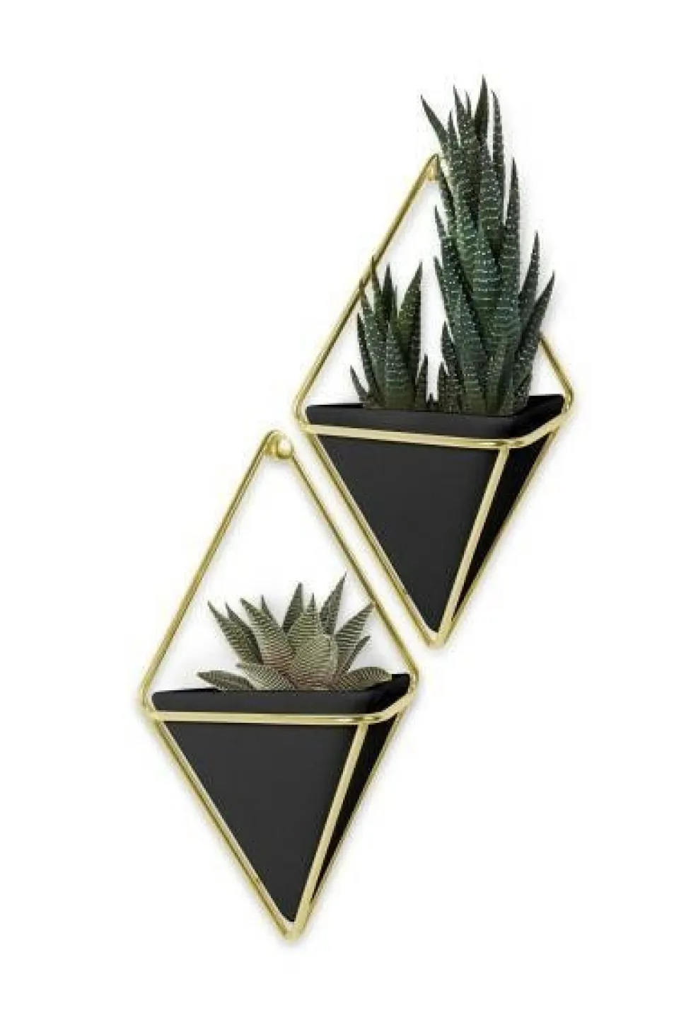 Zestaw 2 pojemników S Trigg czarny/złoty